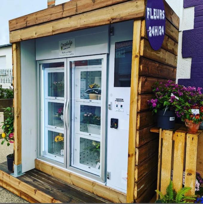 How Florists Choose the Right Flower Vending Machine & Why Sell Flowers ...