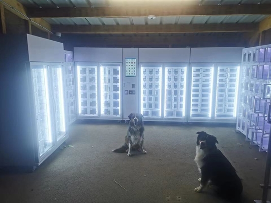 Breads Fresh Food Vending Machine Large Capacity Lockers In France