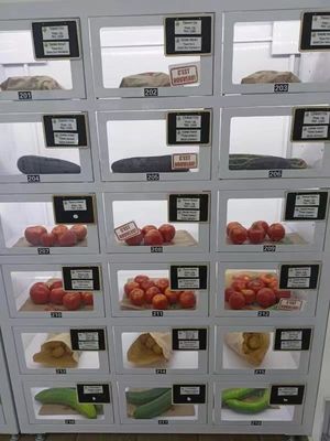 Customized 22 inch Touchscreen Egg Vending Machine with Card Reader for Fresh Farm Products