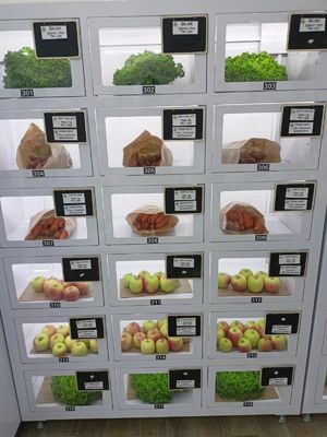 Micron Exported Globally Customized Locker Vending Machine For Eggs Cheese Fresh Flowers Vending Machine