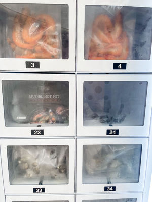 Card Reader Payment Frozen Locker Vending Machine For Frozen Meat Oyster Seafood Vending Machine