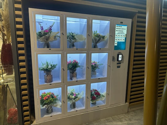 R290 Green Gas Compressor And Auto-defogging Feature In Locker Vending Machine For Bouquets