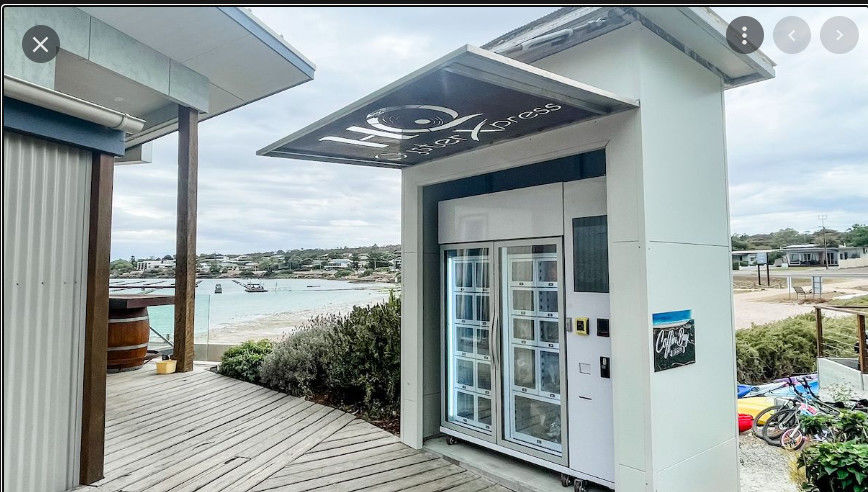 Card Reader Payment Frozen Locker Vending Machine For Frozen Meat Oyster Seafood Vending Machine