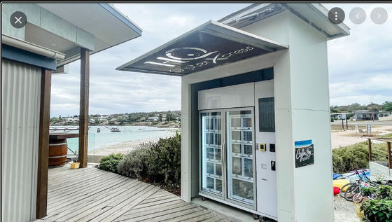 Card Reader Payment Frozen Locker Vending Machine For Frozen Meat Oyster Seafood Vending Machine