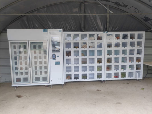 Customizable Locker Vending Machine Real-Time Inventory Shelf Life Management For Cutting-Edge Merchandise
